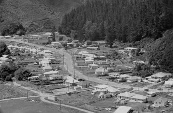 Hine Road Wainuiomata - c1959