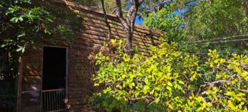 Glenhill Cottage remnant - 2025 - © wainuiomata.net