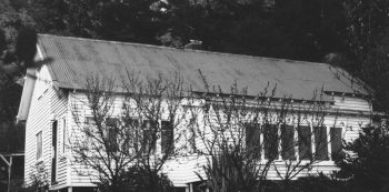 68 Hine Rd built by High Sinclair - ex Vicky Alexander - WHMS: B443