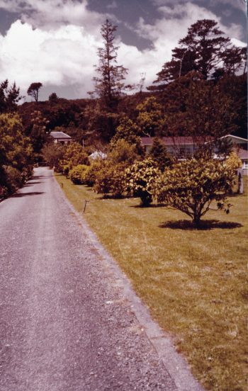 Looking up Whitcher's drive, Whitcher Grove to "Northbrook" before demolition - 1982 - WHMS: L3546