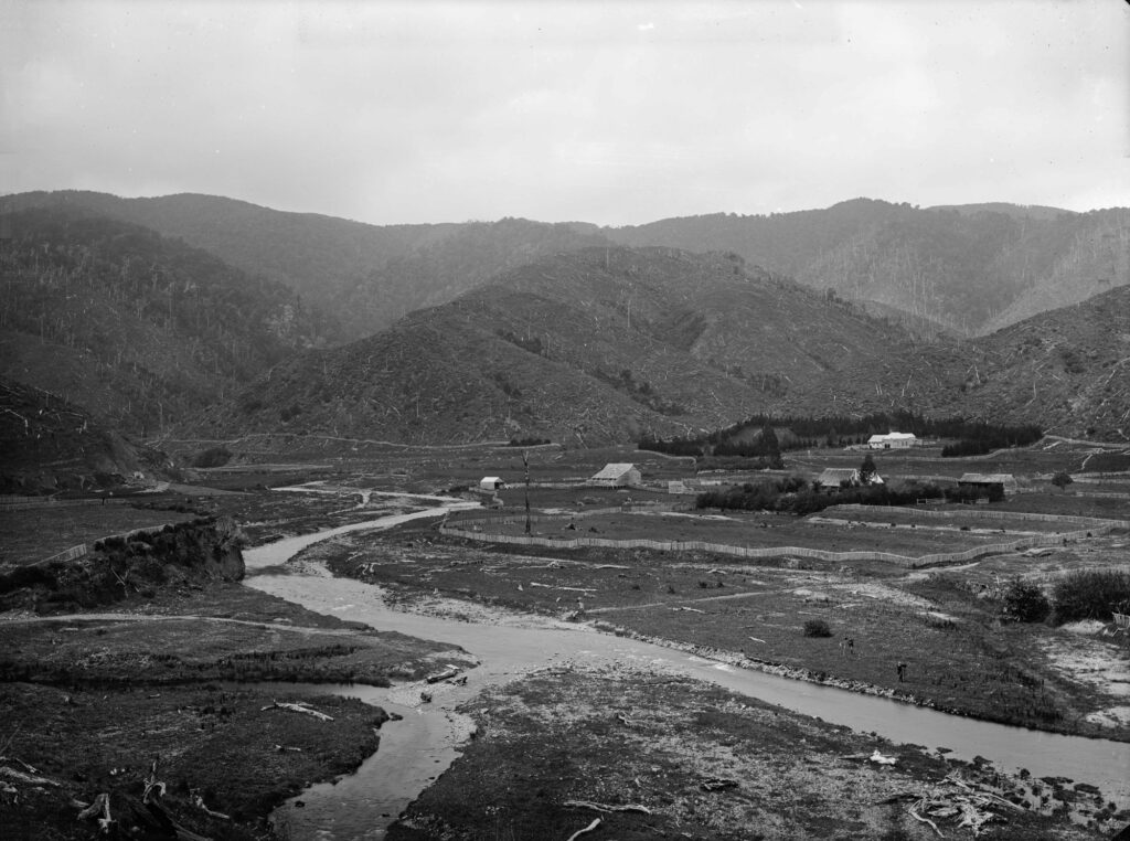 Richard Prouse Park site in 1880s https://natlib.govt.nz/records/23146218