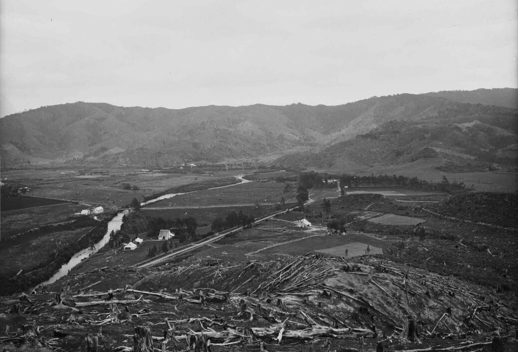 Overlooking Moore's Valley Road 1880s with McIlvride family farm in foreground (left) and Dick family farm in the background - Photograph taken by William Williams - Ref: 1/1-025893-G. Alexander Turnbull Library, Wellington, New Zealand. /records/23146527
