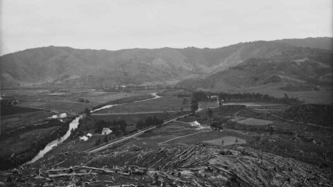 Overlooking Moore's Valley Road 1880s with McIlvride family farm in foreground (left) and Dick family farm in the background - Photograph taken by William Williams - Ref: 1/1-025893-G. Alexander Turnbull Library, Wellington, New Zealand. /records/23146527