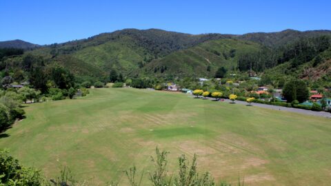 Richard Prouse Park and Hine Road in 2008 - © wainuiomata.net