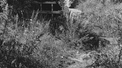 Colemans Tunnel Entrance - Source: Wainuiomata Historical Museum Society