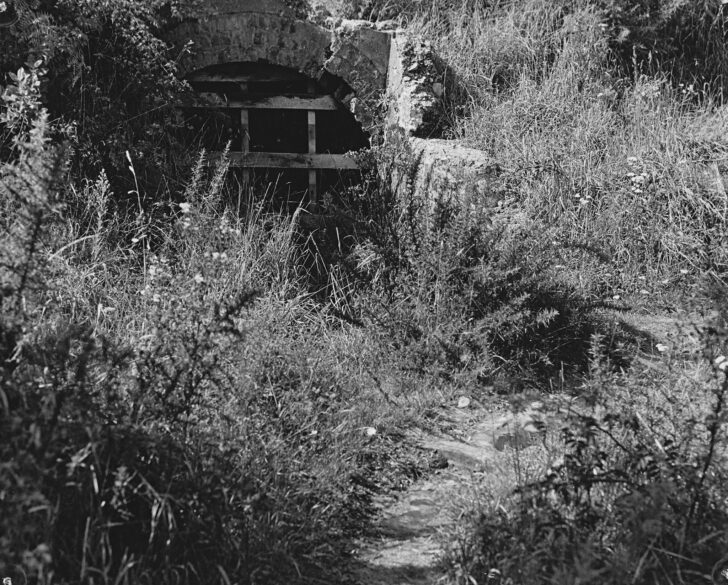 Colemans Tunnel Entrance - Source: Wainuiomata Historical Museum Society