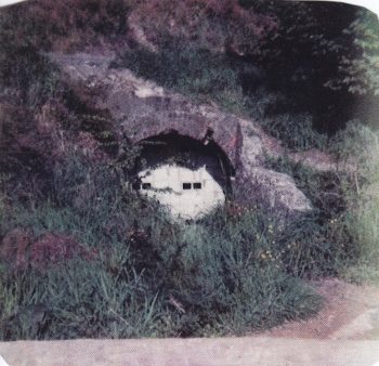 L3805D Colemans Tunnel Entrance - 1983 - WHMS: L3805D