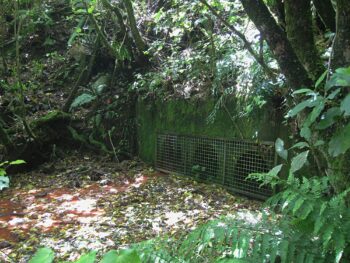 Relief tunnel / pipes through the old dam - 2022 - © Jeremy Foster