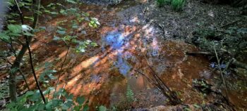 Sludge from Sinclair Tunnel - 2025 - © wainuiomata.net