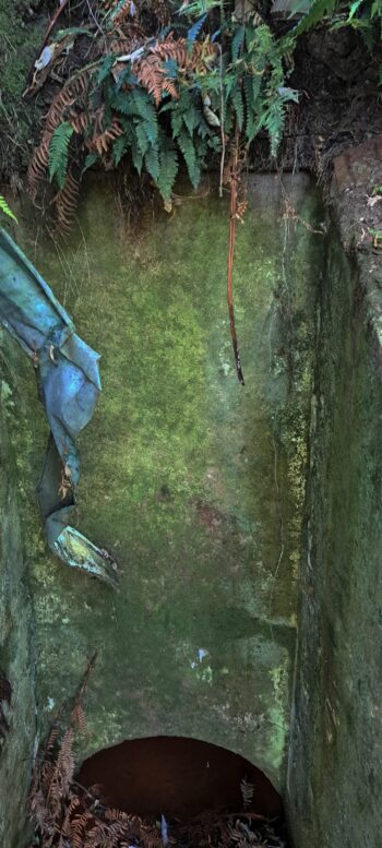 Sinclair Tunnel - 2025 - © wainuiomata.net