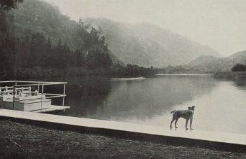 A dog standing on the side of the Wainuiomata reservoir, looking towards lake. - 1908-03-14 - Please acknowledge Auckland Libraries Heritage Collections NZG-19080314-0023-04