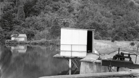Old Dam - c1950 - Wellington City Council, photographer A K Bristow
