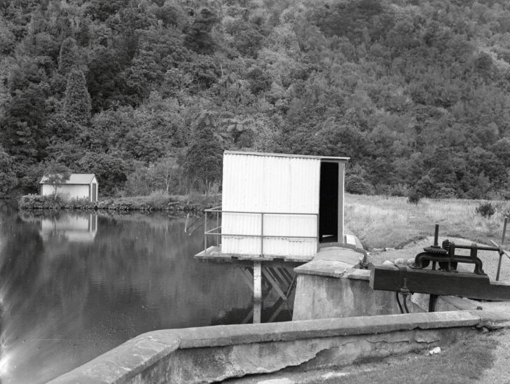 Old Dam - c1950 - Wellington City Council, photographer A K Bristow
