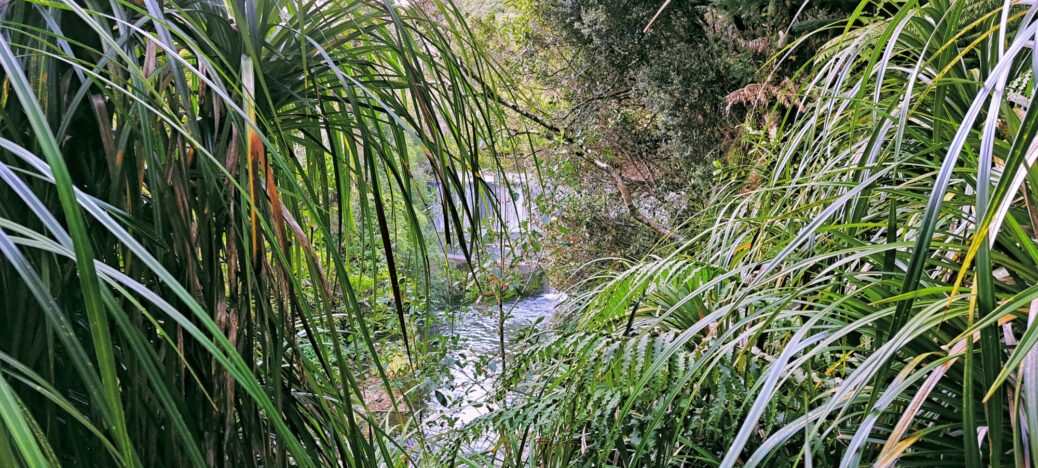 Lower Dam Wainuiomata in 2024 - © wainuiomata.net