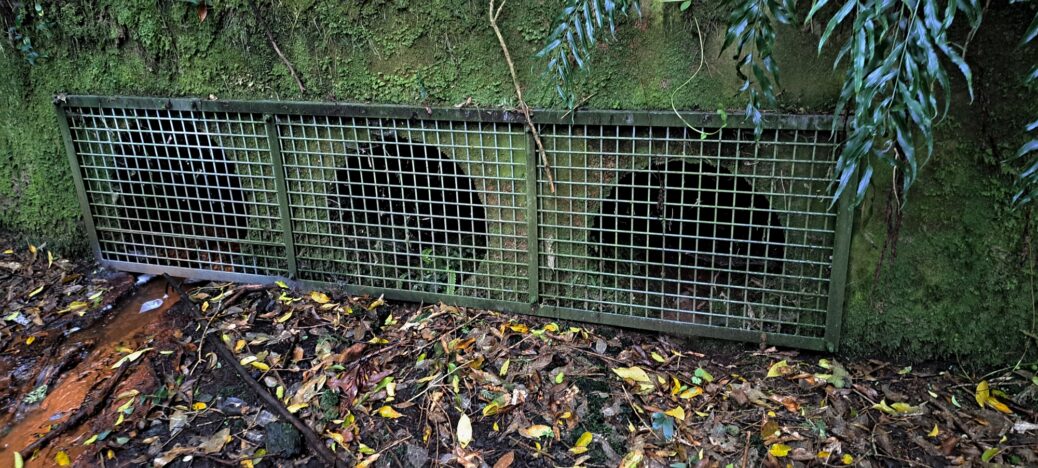 Relief tunnels / pipes through the old dam next to tunnel - 2024 - © wainuiomata.net