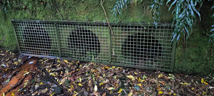 Relief tunnels / pipes through the old dam next to tunnel - 2024 - © wainuiomata.net