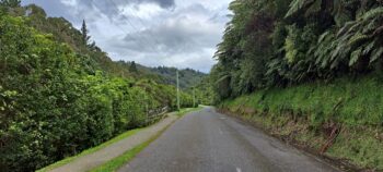 Reservoir Road in Wainuiomata Regional Park - 2024 - © wainuiomata.net