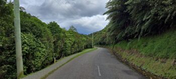 Reservoir Road in Wainuiomata Regional Park - 2024 - © wainuiomata.net