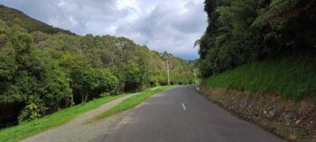 Reservoir Road in Wainuiomata Regional Park - 2024 - © wainuiomata.net