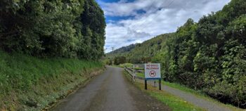 Reservoir Road in Wainuiomata Regional Park - 2024 - © wainuiomata.net