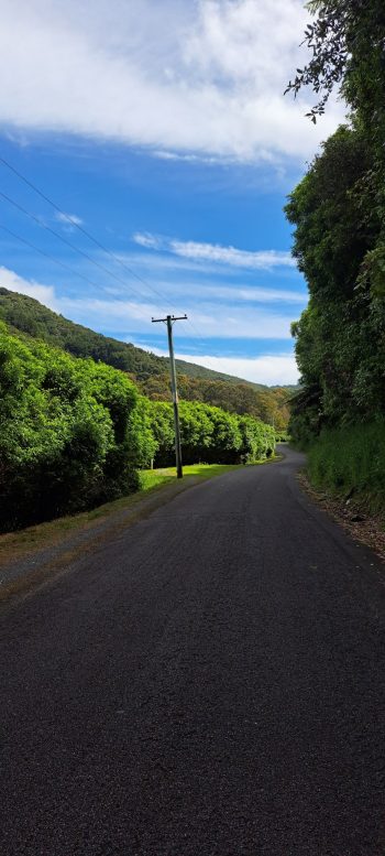 Reservoir Road & Lower Dam Walk in Wainuiomata - 2026 - © wainuiomata.net