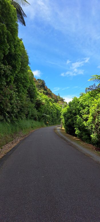 Reservoir Road & Lower Dam Walk in Wainuiomata - 2026 - © wainuiomata.net