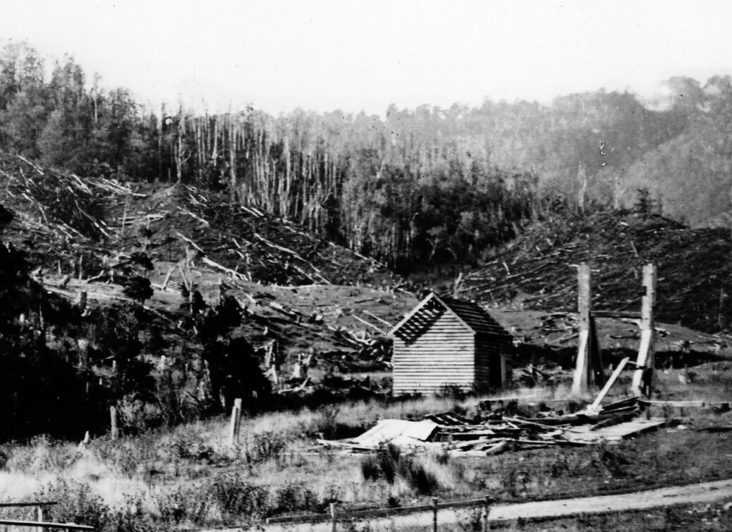 Sinclair Sawmill