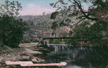 Old Rustic Bridge - c1903 - (WHMS: T4356 - Alan)