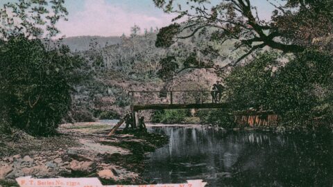 Old Rustic Bridge - c1903 - (WHMS: T4356 - Alan)