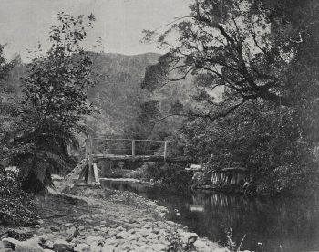 Rustic-Bridge-1906-06-14 Date: 1906-06-14 - Source: Auckland Weekly News; H. E. Crandle - Please acknowledge Auckland Libraries Heritage Collections AWNS-19060614-01-01