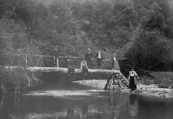 Rustic Bridge - (WHMS: L3789)