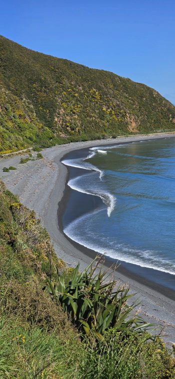 nz8441 Camp Bay as seen from Burdans Gate, Gollans Valley - 2026 - © wainuiomata.net