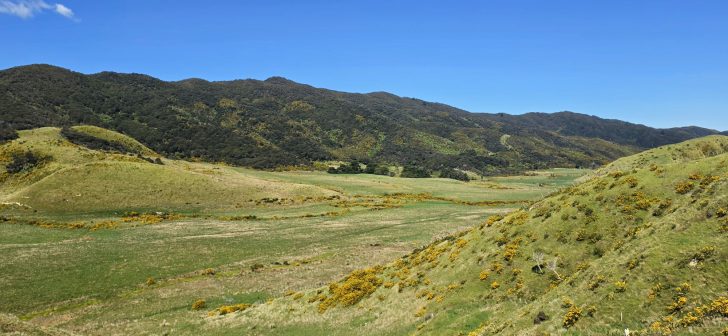 Gollans Valley looking south east - 2026 - © wainuiomata.net