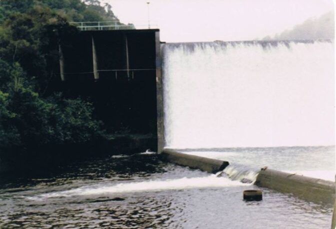 Morton Dam Wainuiomata Net