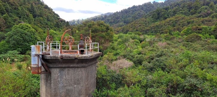 Decommissioned Morton Dam & Natural Regeneration - 2024 - © wainuiomata.net