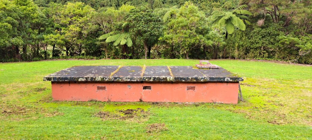 O-K Main Kinney Strainer Chamber - 2025 - © wainuiomata.net