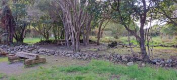 Mackay Cottage Site - 2025 - © wainuiomata.net