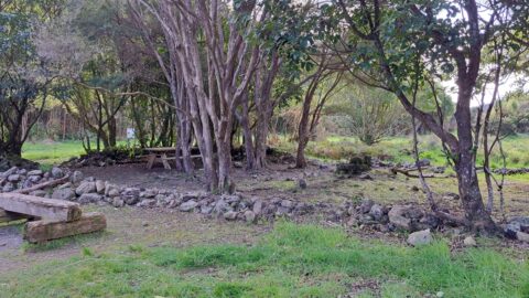 Mackay Cottage Site - 2025 - © wainuiomata.net