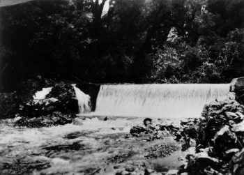 L3533 Orongorongo weir - 1920s - WHMS: L3533