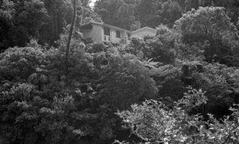 Orongorongo Caretakers House - 4 February 1970 - Wellington City Council Archives, 00158-4046-r (sheet 9829a)