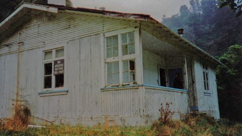 Abandoned Orongorongo Caretakers House