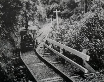 Orongorongo Jigger - c1960s