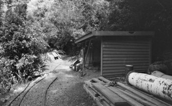Orongorongo Shed & Track - 4 February 1970 - Wellington City Council Archives, 00158-4046-j (sheet 9827e)