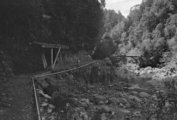 Orongorongo Track - 4 February 1970 - Wellington City Council Archives, 00158-4046-k (sheet 9827f)