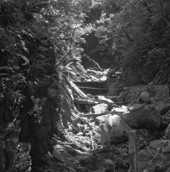 Orongorongo Weir - 13 December 1963 - Wellington City Council Archives, 00158-1455-l (sheet 3231b)