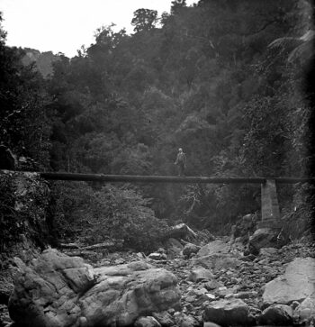 Person on Orongorongo Pipeline - c1924 - Wellington City Council Archives, 00125-1-29
