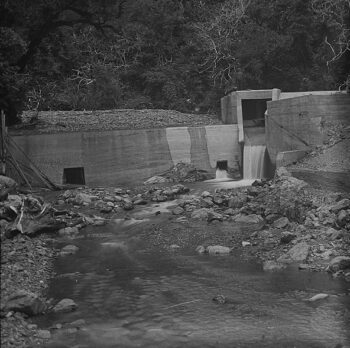 Orongorongo Main Intake - Wellington City Council Archives, 00125-1-25 - c1924