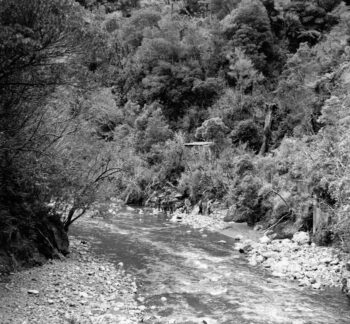 Orongorongo Portal hidden in the bush above the river.
