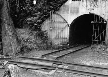 Jigger tracks at the entrance of the Orongorongo Tunnel