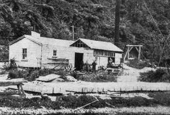 Wainuiomata powerhouse for Orongorongo Stream 1924-04-03_Enhanced Wainuiomata powerhouse for Orongorongo Stream 1924-04-03